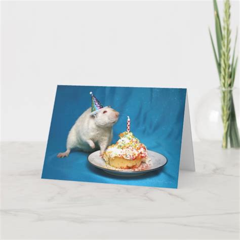 Happy Birthday Rat Card