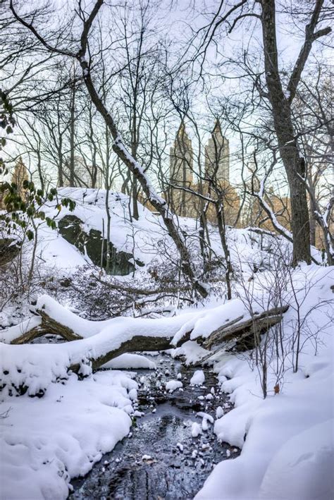 Central Park New York City Stock Image Image Of Snow Manhattan