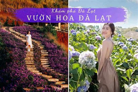 Top 24 Cảnh đẹp Hoa đà Lạt Mới Nhất Năm 2022 Kiến Thức Cho Người Lao