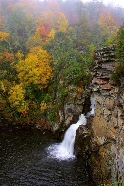 8 Easy Waterfalls Hikes In North Carolina You Re Guaranteed To Love