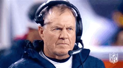Bill Belicheck GIFs Get The Best GIF On GIPHY