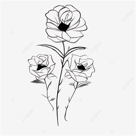 Line Art Rose Flower Floral Design Vector Flower Sketch Flower