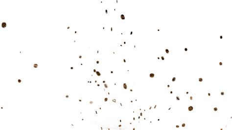 Dirt Pictures Transparent PNG Pictures - Free Icons and PNG Backgrounds png image