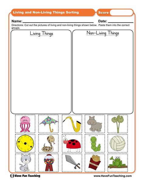 Classification Resources • Have Fun Teaching Living And Nonliving Kindergarten Worksheets