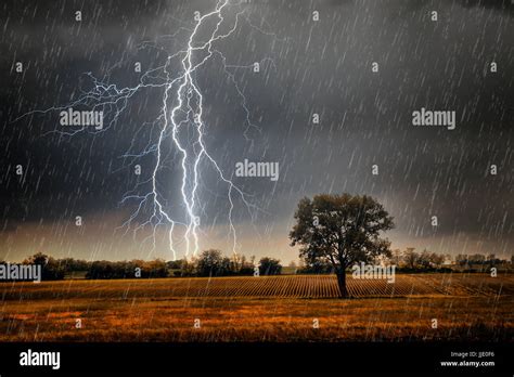 Lightning Over Field Stock Photo Alamy