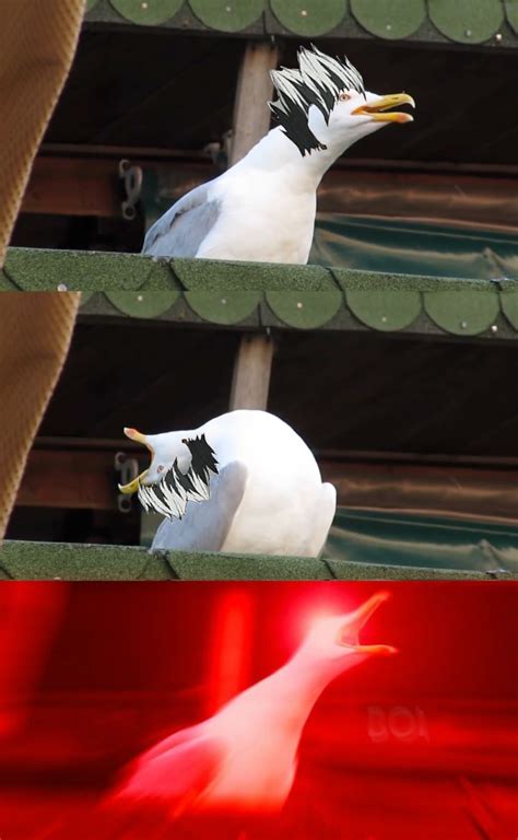 Create Comics Meme Seagull Inhale Know Your Meme Comics Meme Arsenal Com