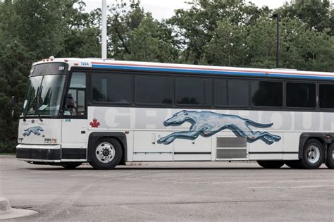 Greyhound Bus Accidentally Drives 114 Miles In Wrong Direction
