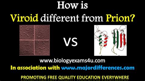 5 Differences Between Viroids And Prions Viroids Vs Prions In 5