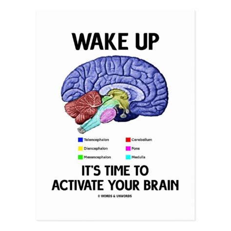 Wake Up Your Brain Pulse 2 Learn Typing English Free Download