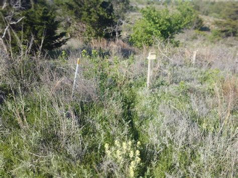 The mountain bike can be obtained from nook's cranny for 5100 bells. Lake Tom Steed Mountain Bike Trail in Lugert, Oklahoma - Directions, Maps, Photos, and Reviews