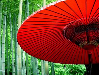 Oriental Paper Parasol Toilet Bamboo Background Tree