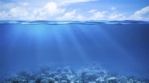 4k Ultra Hd Underwater Wallpapers Top Free 4k Ultra Hd Underwater