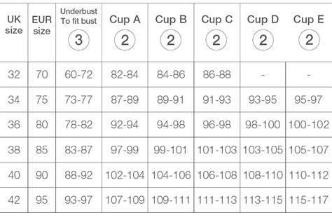 Bra Cup Size Chart Gallery Of Chart 2019