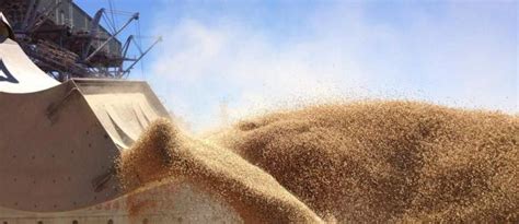 الهجرة الى الارجنتين، بلاد الأرجنتيوم أو بلاد ما وراء المحيط، راقصي التانجو وأباطرة كرة القدم اللاتينة، أرجنتين ماردونا وميسي وجو كوتشيا. الأرجنتين أول بلد في العالم يجيز تسويق قمح معدل جينياً ...