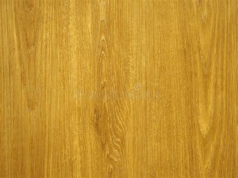 Polished Board Different Types Of Wood White Oak Bog Oak Light