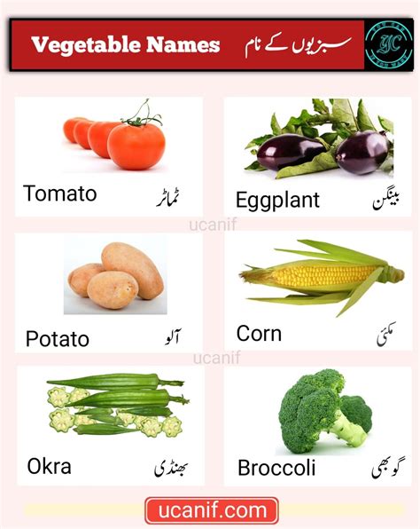 Vegetables Names In English And Urdu With Pictures List Of Vegetables