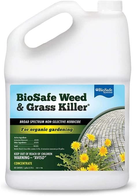 10 Pet Friendly Weed Killers In 2022 Reviews And Guides To Control Weeds