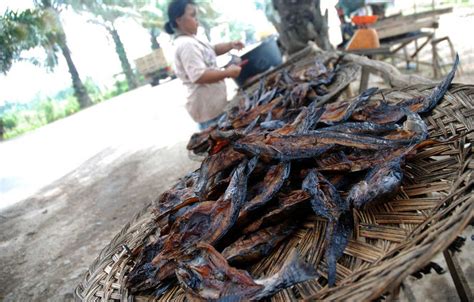 Check spelling or type a new query. Sejarah Ikan Salai Yang Menjadi Sajian Nikmat Di Sumatera ...
