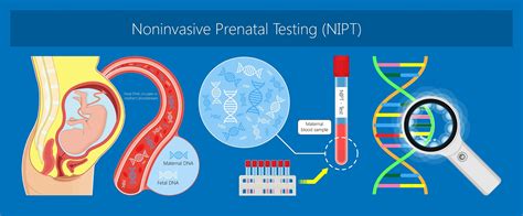 Everything You Want To Know About Noninvasive Prenatal Testing The Pulse