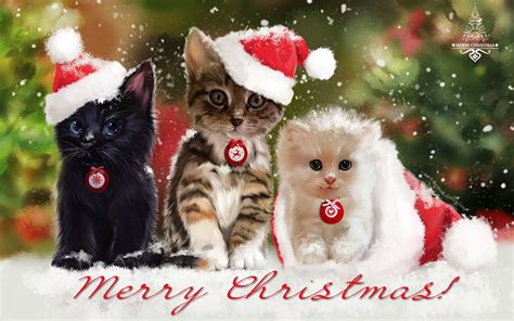 Christmas Kitten Cats Wallpaper Desktop Nexus Animals Merry Christmas