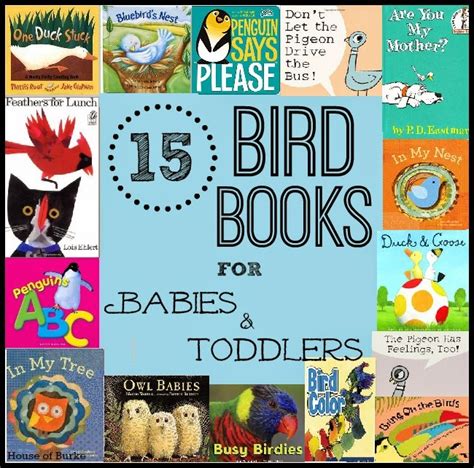 House Of Burke 15 Bird Books For Babies And Toddlers