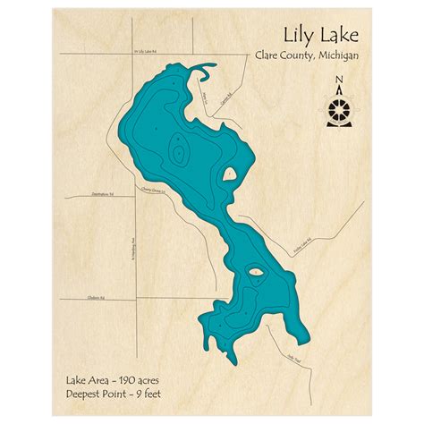 Lily Lake 3d Custom Wood Map Lake Art Llc