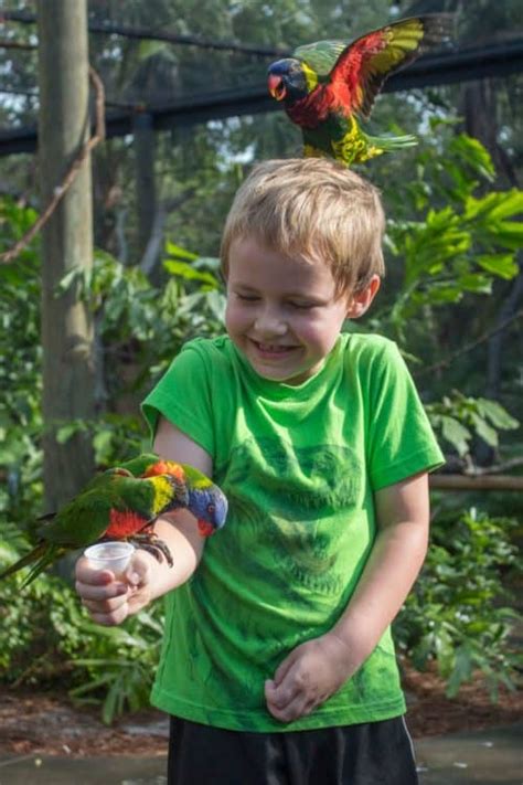 Brevard Zoo Offers Two Florida Resident Specials