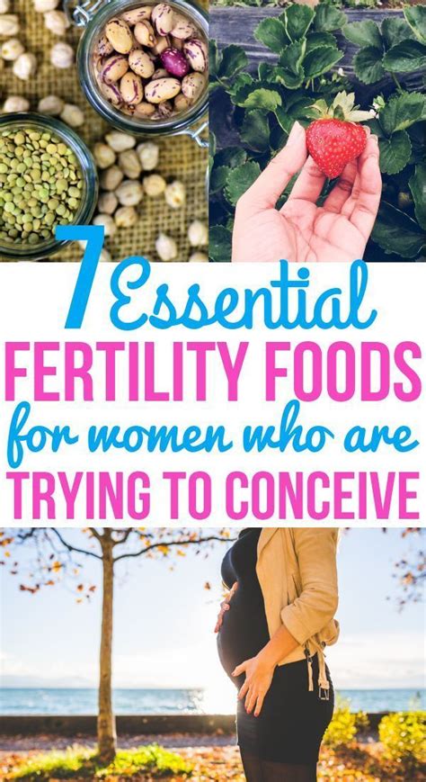 7 Best Foods To Increase Fertility For Getting Pregnant Quicker Fertility Food For Women
