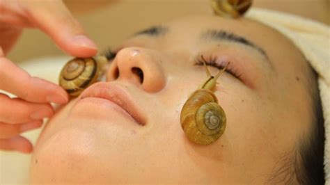 Snails Face Japan Beauty Treatment Offers Slime Power Fox News