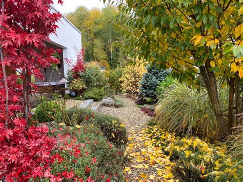 Maybe you would like to learn more about one of these? Kleiner Garten ohne Rasen - Marion Ernst - Gartengestaltung