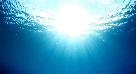 Absolute Nothingness Ocean Gif Challenger Deep Underwater