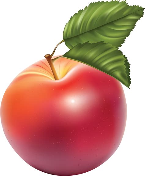 Red Apple Rendered Image Png Transparent Image Download Size 2877x3499px