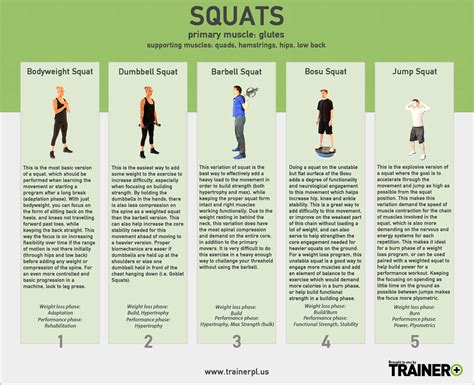 Squats — Trainer Plus