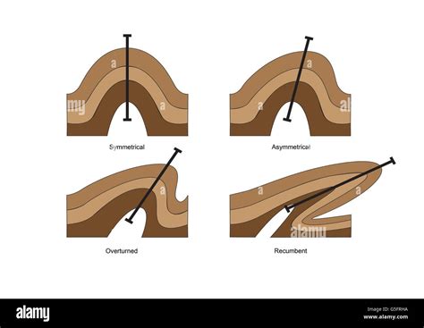 Fold Definition Types Facts Britannica Ar