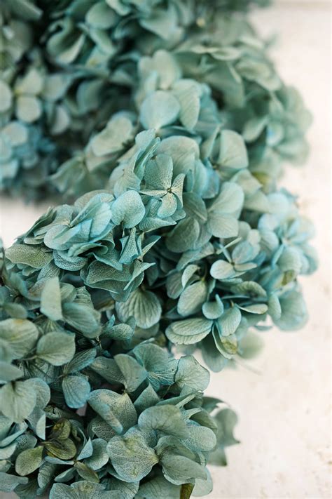 Check spelling or type a new query. Preserved Teal Blue Hydrangea Flowers 2 oz., Potpourri