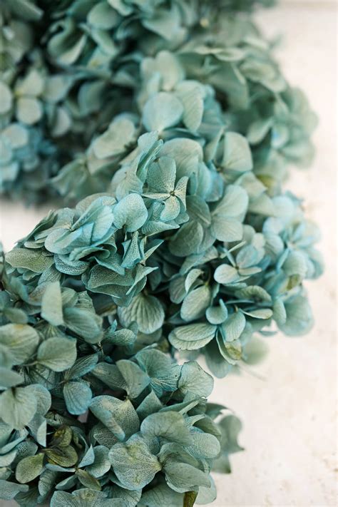 Frequent special offers and discounts up to 70% off for all products! Preserved Teal Blue Hydrangea Flowers 2 oz., Potpourri