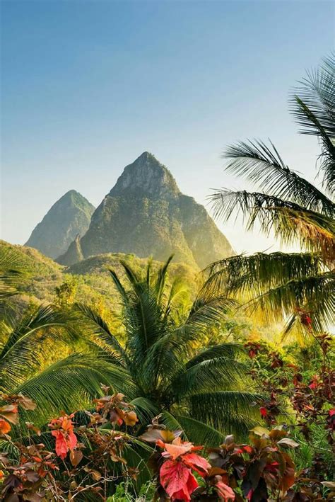 The Mountains And Palm Trees Are In The Foreground With Bright