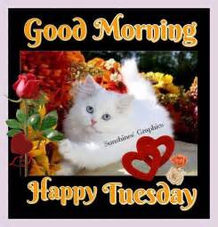 14) good morning tuesday ! Good Morning Happy Tuesday Pictures, Photos, and Images ...