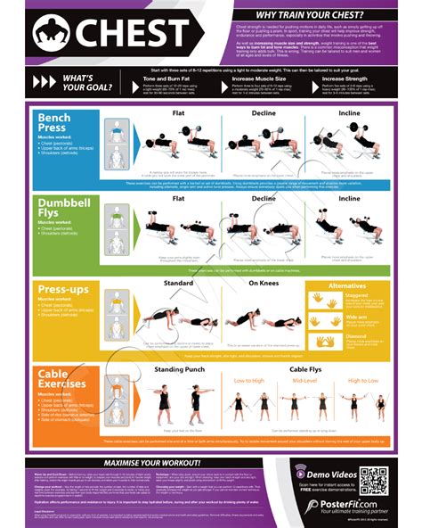 Multi Gym Workout Chart Chest Expander Exercise Chart Chest Workout