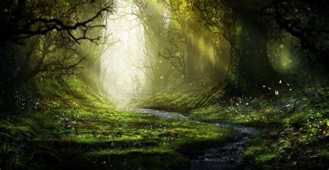Enchanted Forest By Aeflus On Deviantart Enchanted Forest Mystical