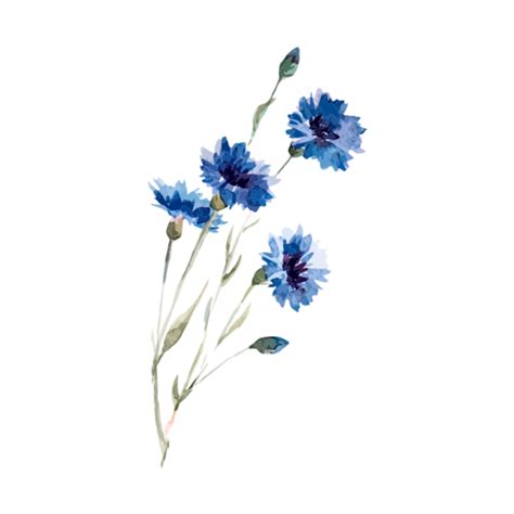 #freetoedit#watercolor #blue #flowers #green #aesthetic #beautifull #