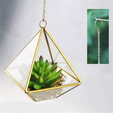 Mini Geometric Glass Vase Succulent Terrarium Kit By Dingading Terrariums