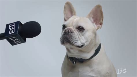 Monologue as john mulaney (twitter.com). John Mulaney Wife Dog - Christoper