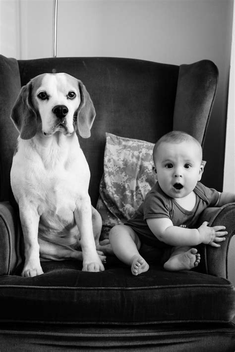 Ive Taken A Picture Of My Son And Beagle Every Month For The Last
