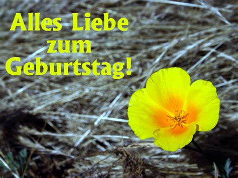 Eine animierte geburtstagskarte per email verschicken oder eine gedruckte nun bist du ein junger mann mit blendender zukunft. Kostenlose Grusskarte zum Geburtstag selbst ausdrucken