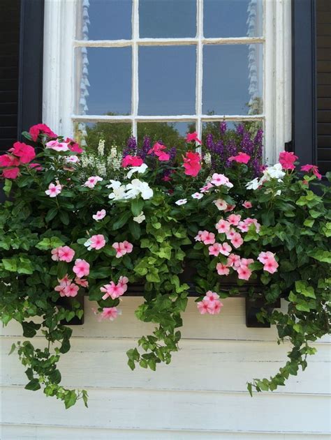 I Love The Lush Ivy Used With The Pretty Pink Flowers In This Window