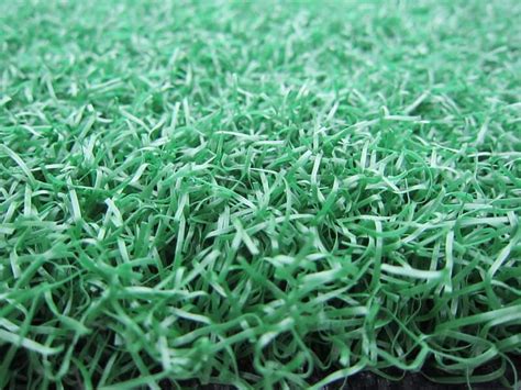 And the benefits of carpeting plants don't stop with the looks. 14 Different Types of Artificial Grass for Your Yard (2020)
