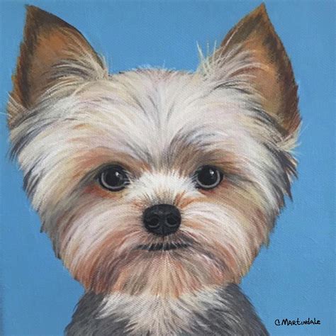 Yorkie Painting By Carole Martindale Fine Art America