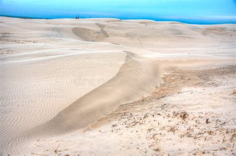 R Bjerg Mile Sand Dunes In Denmark Stock Image Image Of Beach