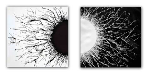 Opposites Acrylic Diptych Painting Contemporary Art By